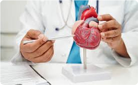 Internal Medicine Consults