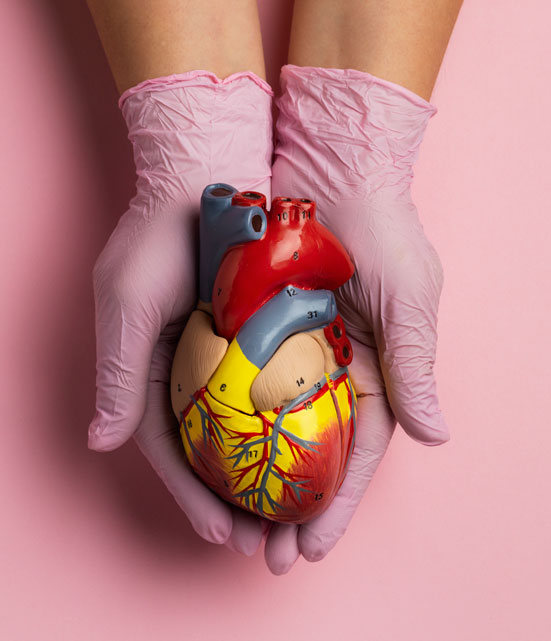 Interventional Cardiologist in Selangor — Minimally Invasive Heart Procedures